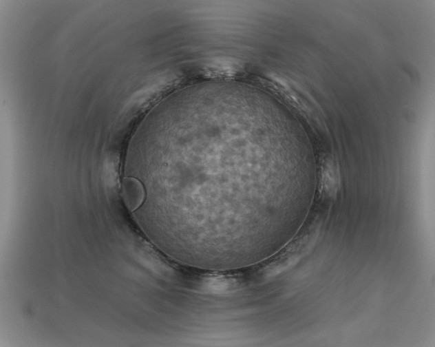 X0000113230616200909101212