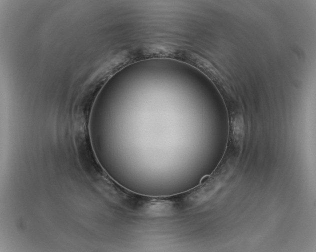 X0000113230617200909101212