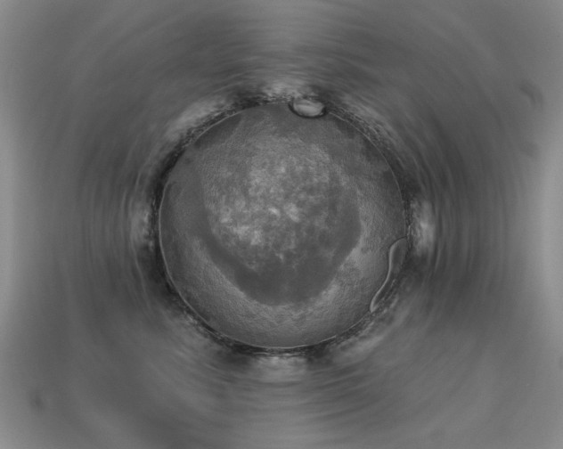 X0000113230619200909101212