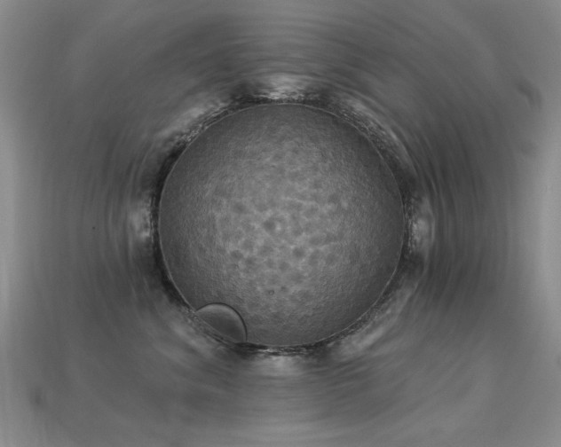 X0000113230620200909101212