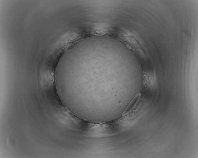X0000113230621200909101212