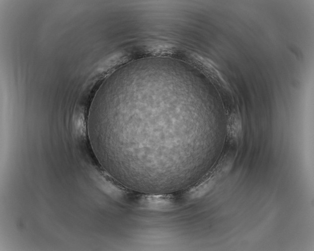 X0000113230622200909101212