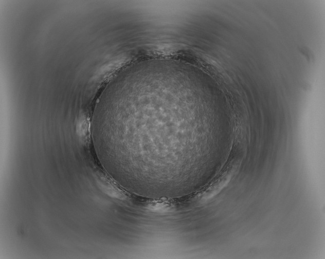 X0000113230624200909101212