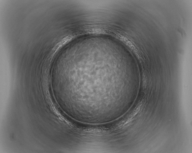 X0000113230625200909101212
