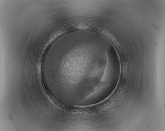X0000113230626200909101212