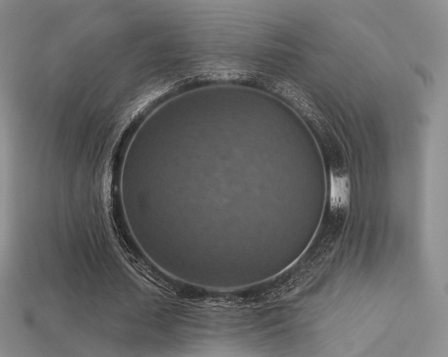 X0000113230627200909101212
