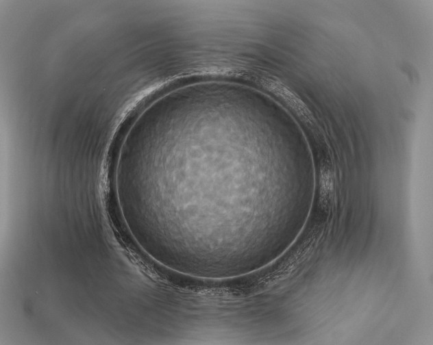 X0000113230628200909101212