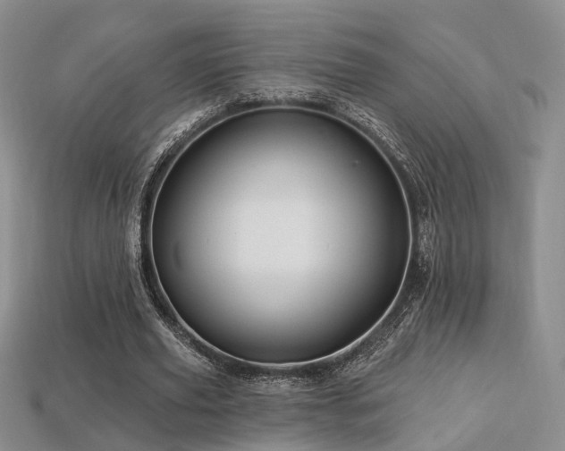 X0000113230629200909101212