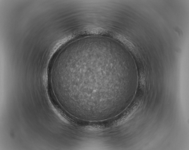 X0000113230630200909101212