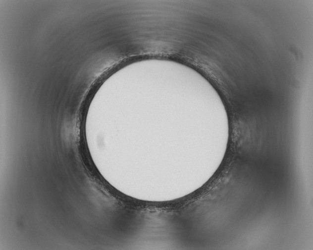 X0000113230632200909101212