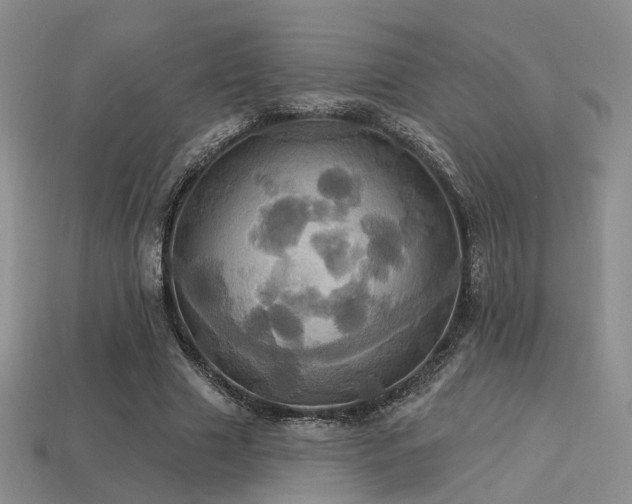 X0000113230633200909101212