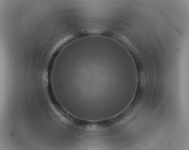 X0000113230634200909101212