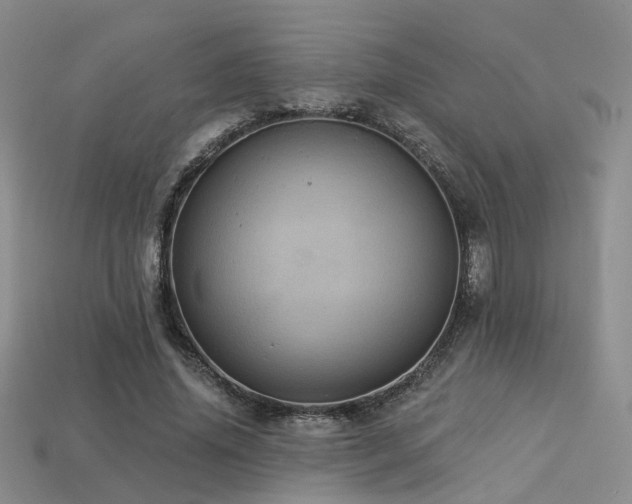 X0000113230636200909101212