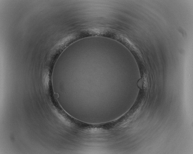 X0000113230637200909101212
