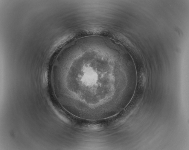 X0000113230638200909101212