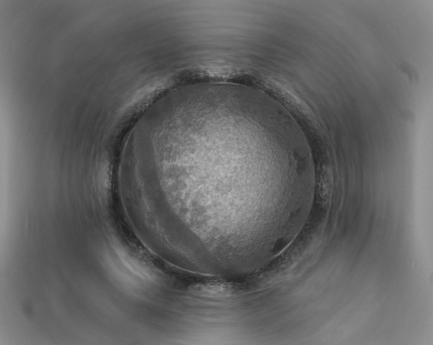 X0000113230639200909101212