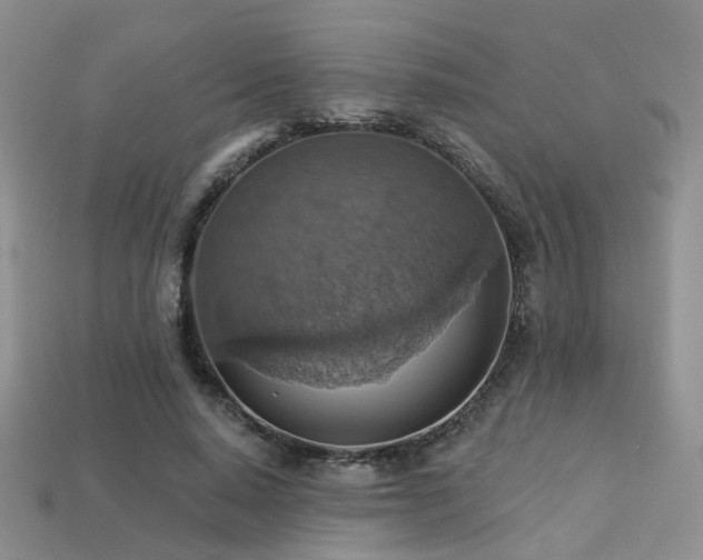 X0000113230640200909101212