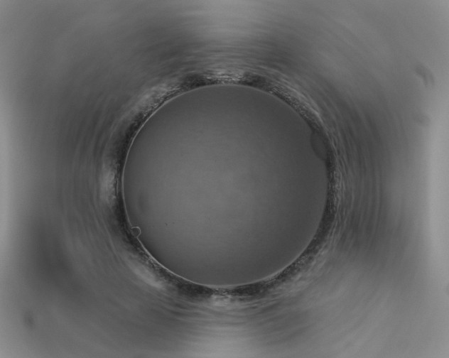 X0000113230641200909101212