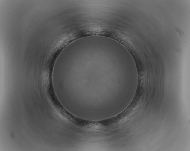 X0000113230642200909101212