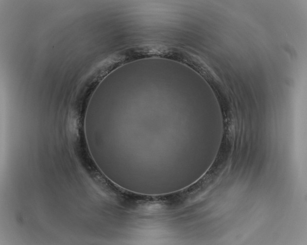 X0000113230643200909101212
