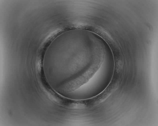 X0000113230644200909101212