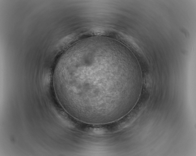 X0000113230645200909101212