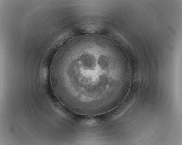 X0000113230646200909101212