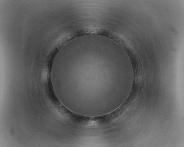 X0000113230647200909101212