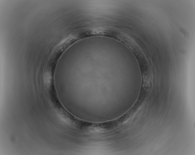 X0000113230648200909101212