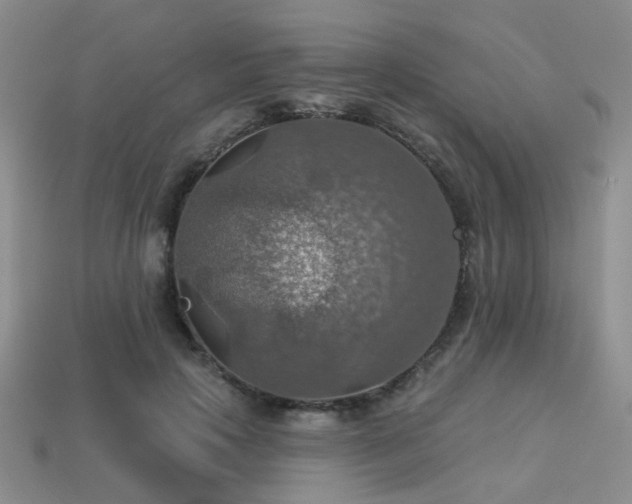 X0000113230649200909101212