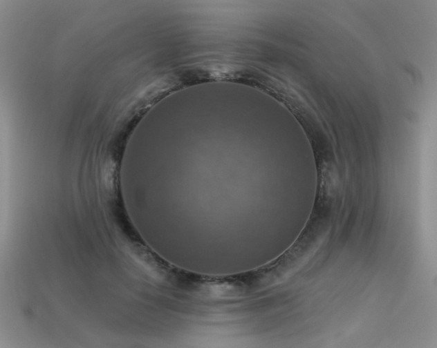 X0000113230650200909101212