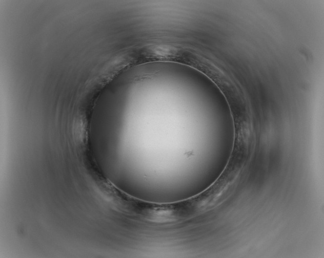 X0000113230651200909101212