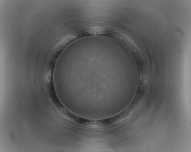 X0000113230652200909101212