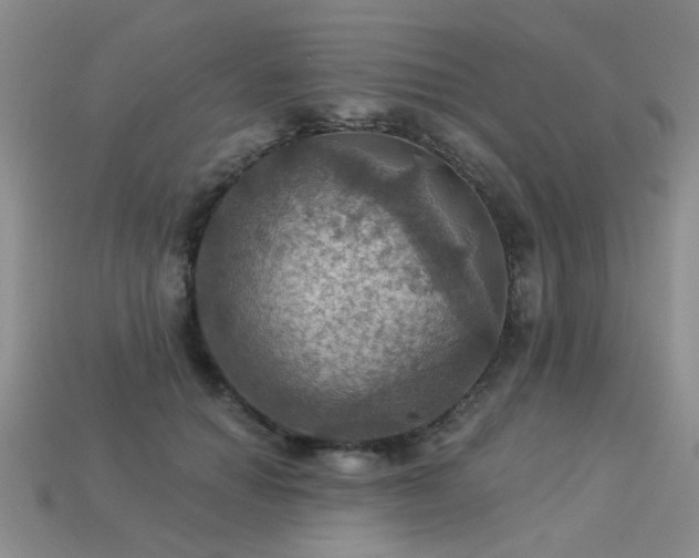 X0000113230654200909101212