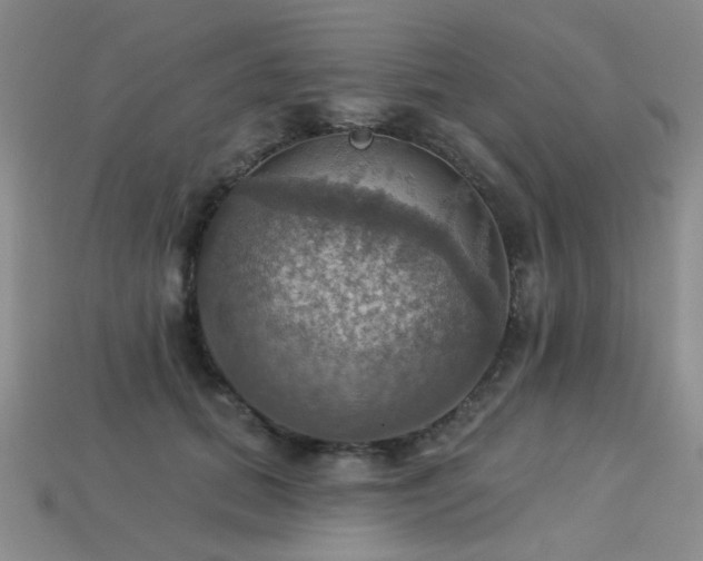 X0000113230655200909101212