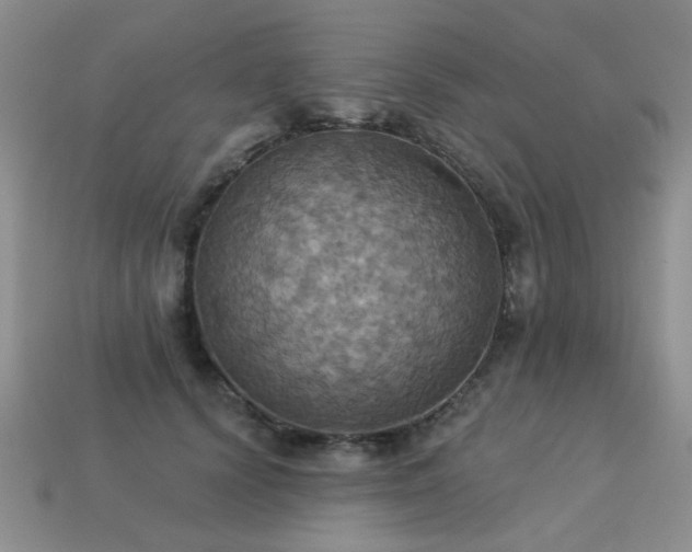 X0000113230656200909101212