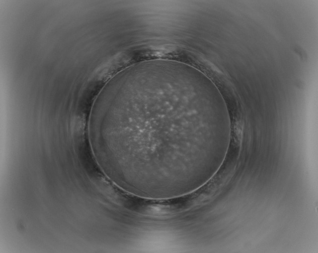 X0000113230657200909101212