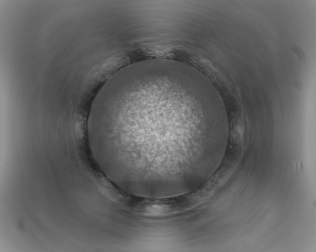 X0000113230658200909101212