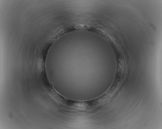 X0000113230659200909101212