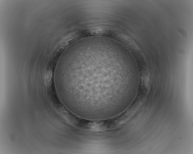 X0000113230660200909101212