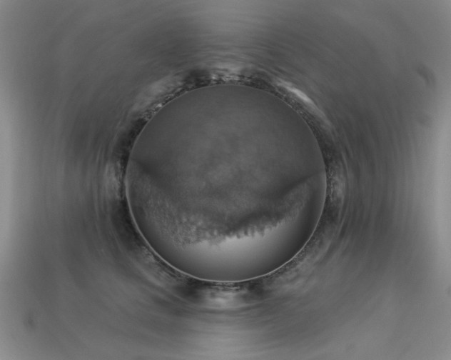 X0000113230661200909101212