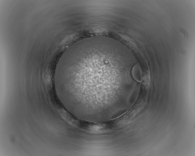 X0000113230662200909101212