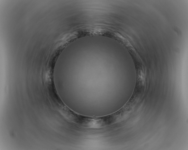 X0000113230663200909101212