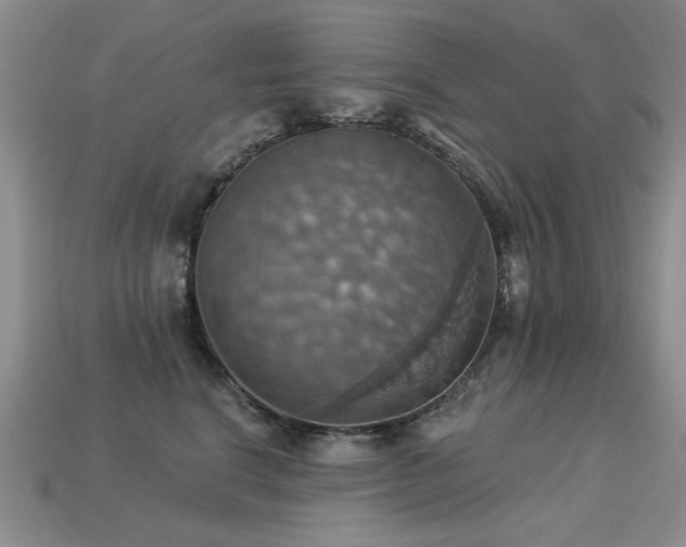 X0000113230664200909101212