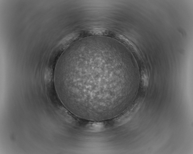 X0000113230665200909101212