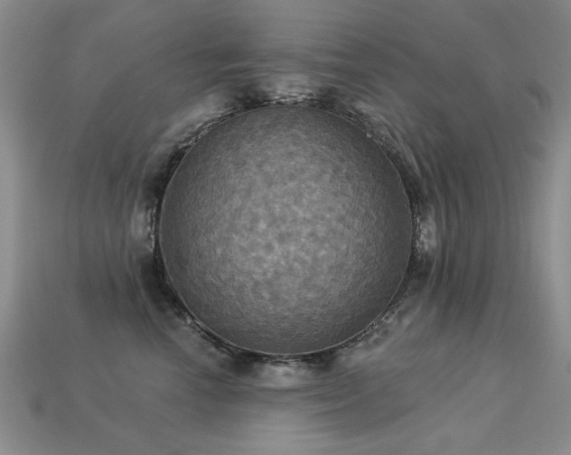 X0000113230666200909101212