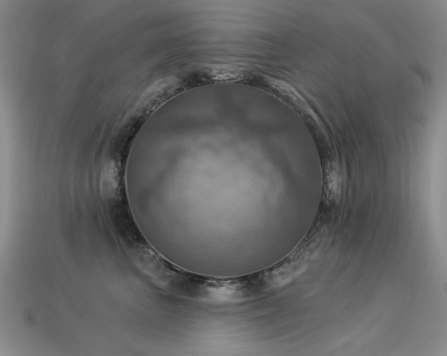 X0000113230667200909101212
