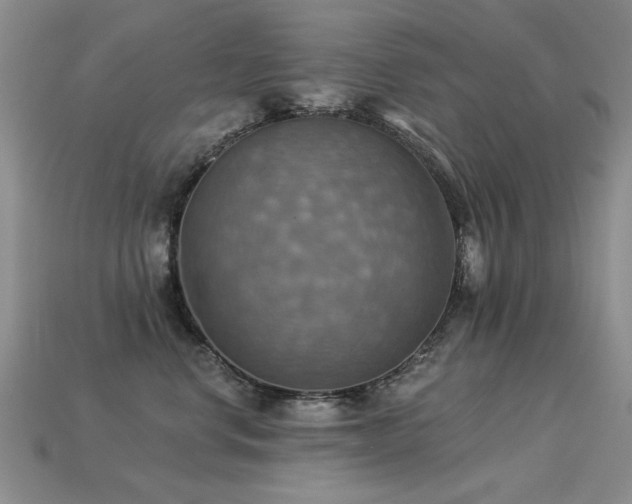X0000113230668200909101212