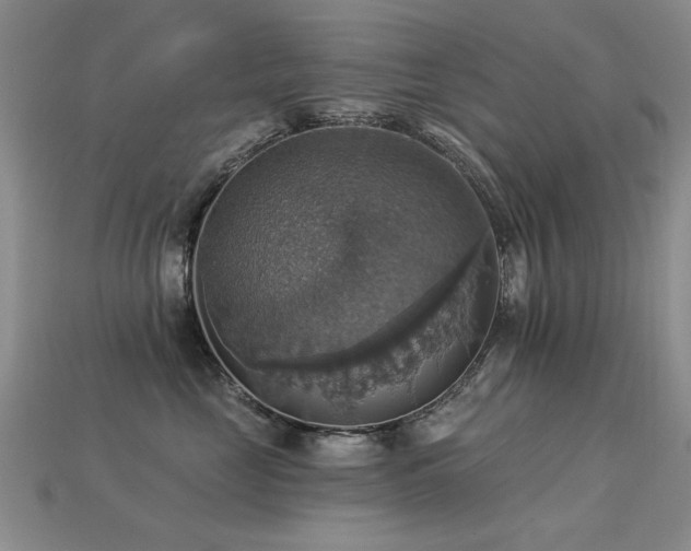 X0000113230669200909101212