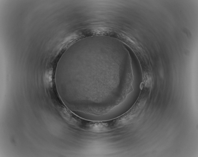 X0000113230670200909101212